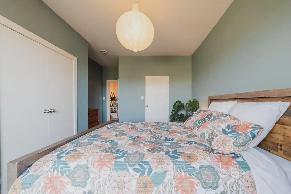 Somerfield Statement - Bold 3Br House On Barrington Christchurch Holiday home